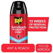 Raid Ant & Roach Insect Killer, Indoor Insecticide, Residual Killing Power, Outdoor Fresh Scent, 17.5 oz