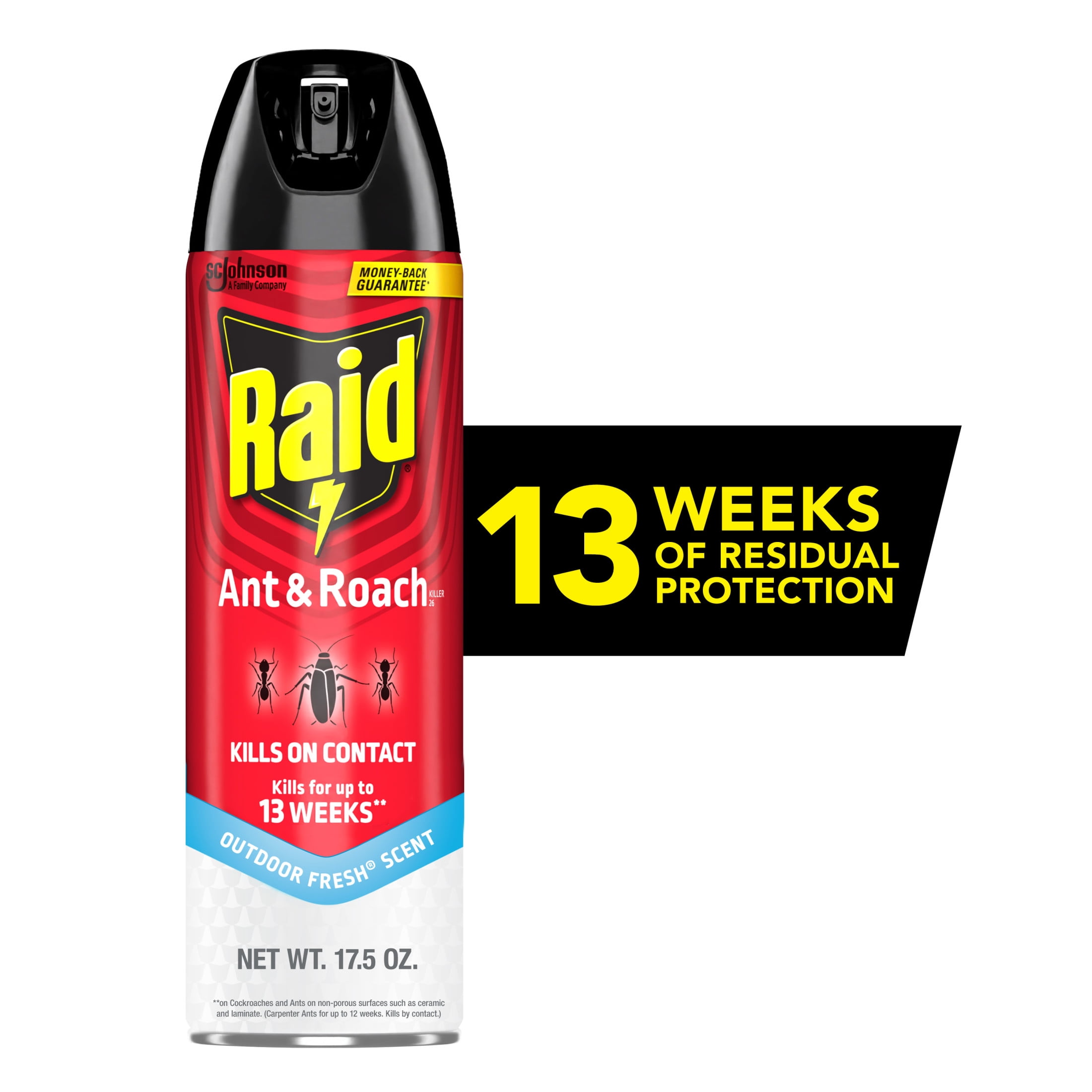Raid Ant & Roach Inse Count Killer, Indoor Inse Counticide, Residual Killing Power, Outdoor Fresh Scent, 17.5 oz