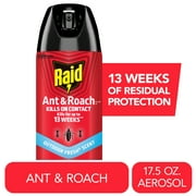 Raid Ant & Roach Insect Killer, Indoor Insecticide, Residual Killing Power, Outdoor Fresh Scent, 17.5 oz