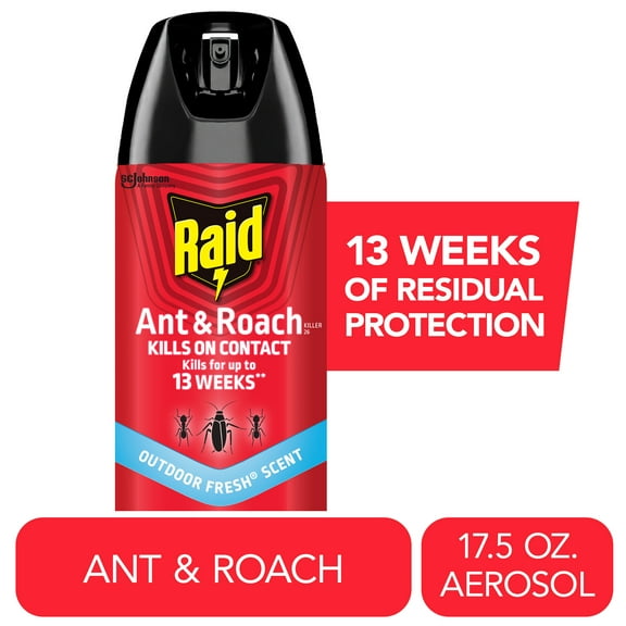 Raid Ant & Roach Insect Killer, Indoor Insecticide, Residual Killing Power, Outdoor Fresh Scent, 17.5 oz