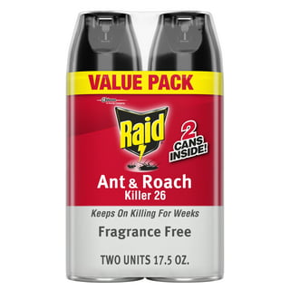 Raid - Aérosol fourmis araignées cafards (400 ml), Delivery Near You