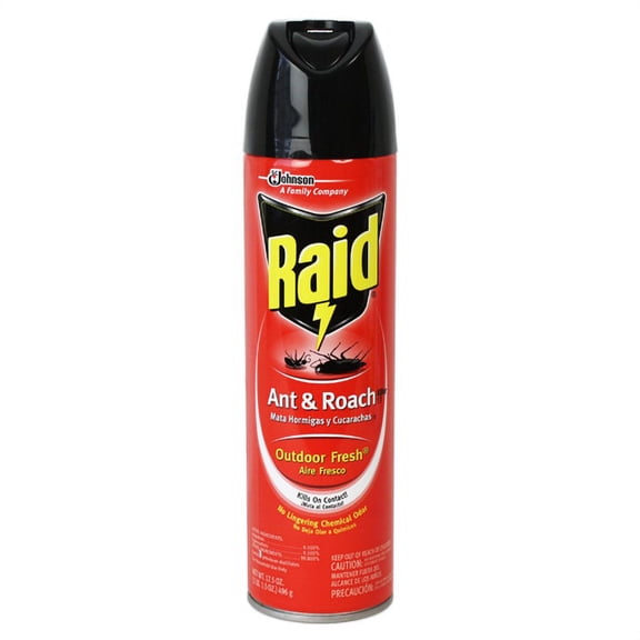 Raid Ant & Roach Killer 26 Outdoor Fresh Scent 17.5 oz (Pack of 16)