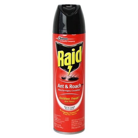 Raid Ant & Roach Killer 26 Outdoor Fresh Scent 17.5 oz (Pack of 24)