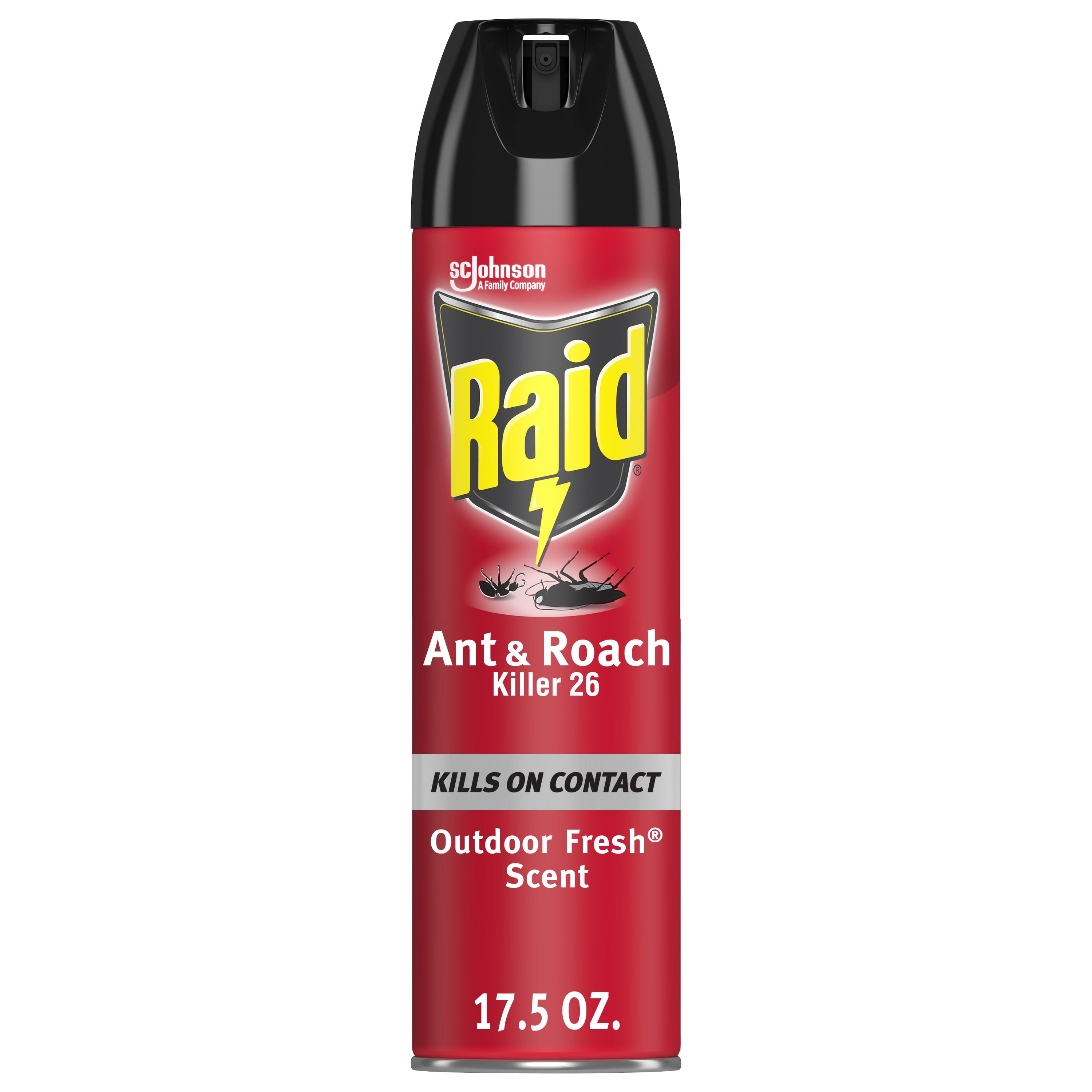 Raid Ant & Roach Killer 26, Outdoor Fresh Scent, 17.5 oz