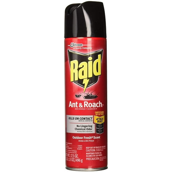 Raid Ant & Roach Killer Insecticide Spray Outdoor Fresh - Insecticide Spray - 17.5 oz