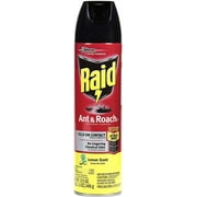 Raid Ant &Roach Killer, Lemon Scent 17.5 oz. Pack of 12   Residential Use, Standard Application