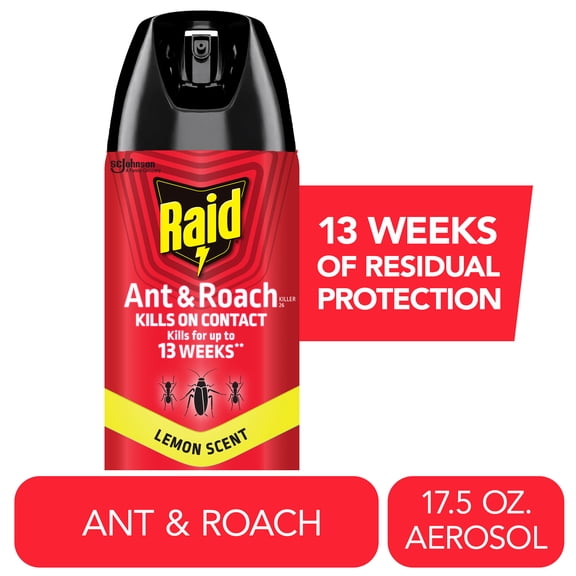 Raid Ant and Roach Insect Killer Aerosol Insecticide, Lemon Scent, 17.5oz