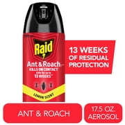 Raid Ant & Roach Insect Killer, Lemon Scent Bug Spray, Insect Spray, 17.5 oz