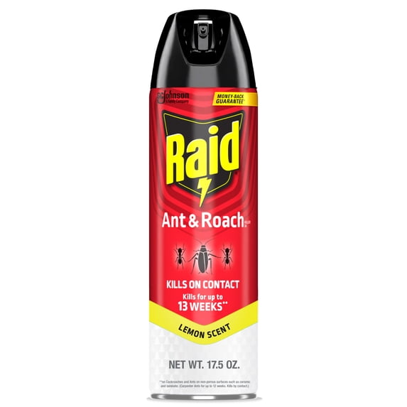 Raid Ant and Roach Insect Killer Aerosol Insecticide, Lemon Scent, 17.5oz