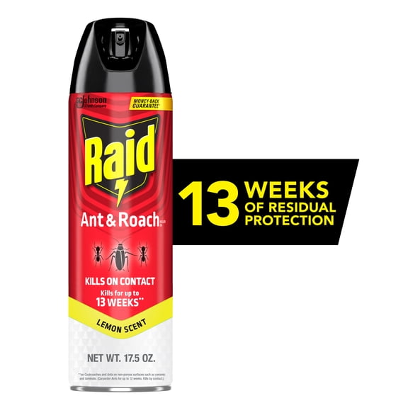Raid Ant and Roach Insect Killer Aerosol Insecticide, Lemon Scent, 17.5oz