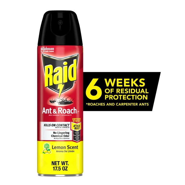 Raid Ant and Roach Insect Killer Aerosol Insecticide Lemon Scent 17.5oz