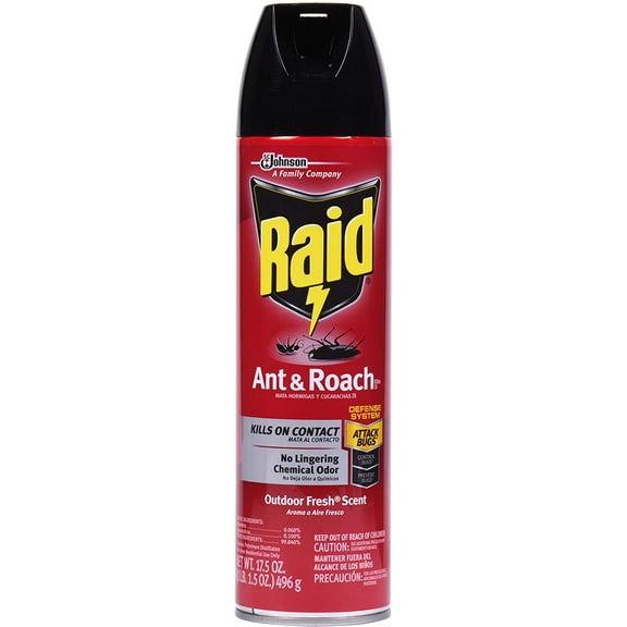 SC Johnson Raid Ant and Roach Killer Outdoor Fresh Insecticide - Outdoor Use - 17.5 oz Can