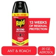 thumbnail image 1 of Raid Defend Ant & Roach Killer, Indoor Insecticide, Residual Killing Power, Lemon Scent, 20 oz, 1 of 14