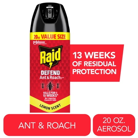 Raid Bug Spray