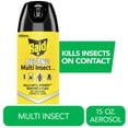 thumbnail image 1 of Raid Defense System Indoor and Outdoor Ants, Roaches, Spiders and Flies Insect Killer Bug Spray, 15 oz, 1 of 16