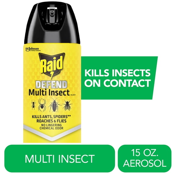 Raid Defense System Indoor and Outdoor Ants, Roaches, Spiders and Flies Insect Killer Bug Spray, 15 oz
