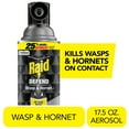 thumbnail image 1 of Raid Defend Outdoor Defense System Wasp and Hornet Bug Spray, Insect Killer, 17.5 oz, 1 of 15