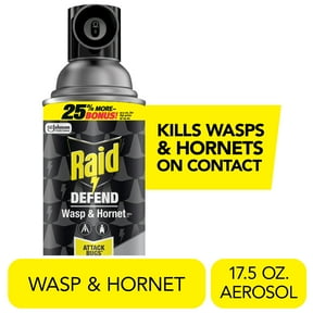 Raid Defend Outdoor Defense System Wasp and Hornet Bug Spray Outdoor Insect Killer, 17.5 oz.