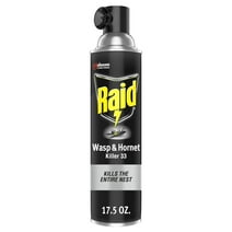 Raid Defend Outdoor Defense System Wasp and Hornet Insect Killer Spray, 17.5 oz