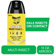 Raid Defense System Insect Killer, Indoor and Outdoor Home Defense Bug Spray for Ants, Roaches, Spiders and Flies, 15 oz