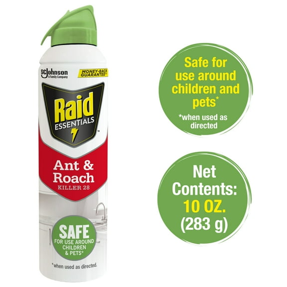 Raid Essentials Indoor Ant and Roach Killer Aerosol, 10 oz