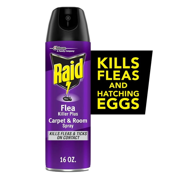 Raid Flea Killer Plus Carpet & Room Spray, Bug Spray Kills Fleas & Flea Eggs, 16 oz