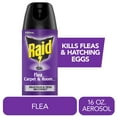 thumbnail image 1 of Raid Flea Killer Plus Carpet & Room Spray, Bug Spray Kills Fleas & Flea Eggs, 16 oz, 1 of 14