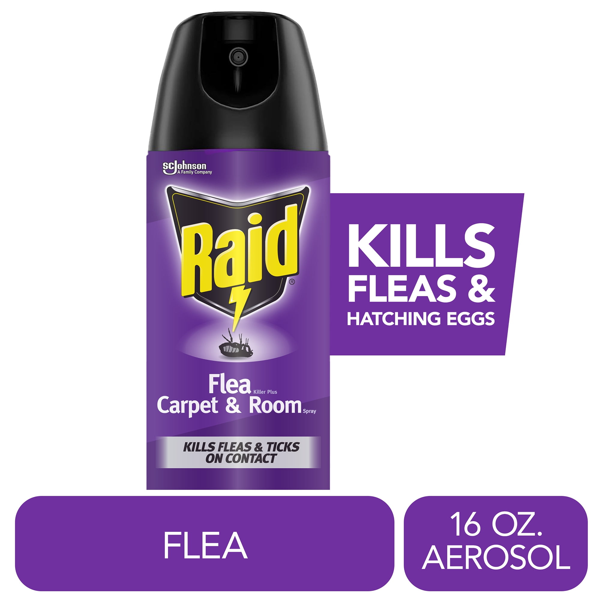 Raid Flea Killer Plus Carpet Room Spray, Bug Spray Philippines