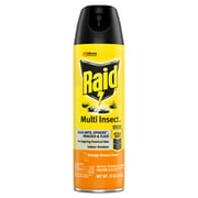 Raid Insect Killer, Multi Insect 7, Orange Breeze Scent, 15 oz