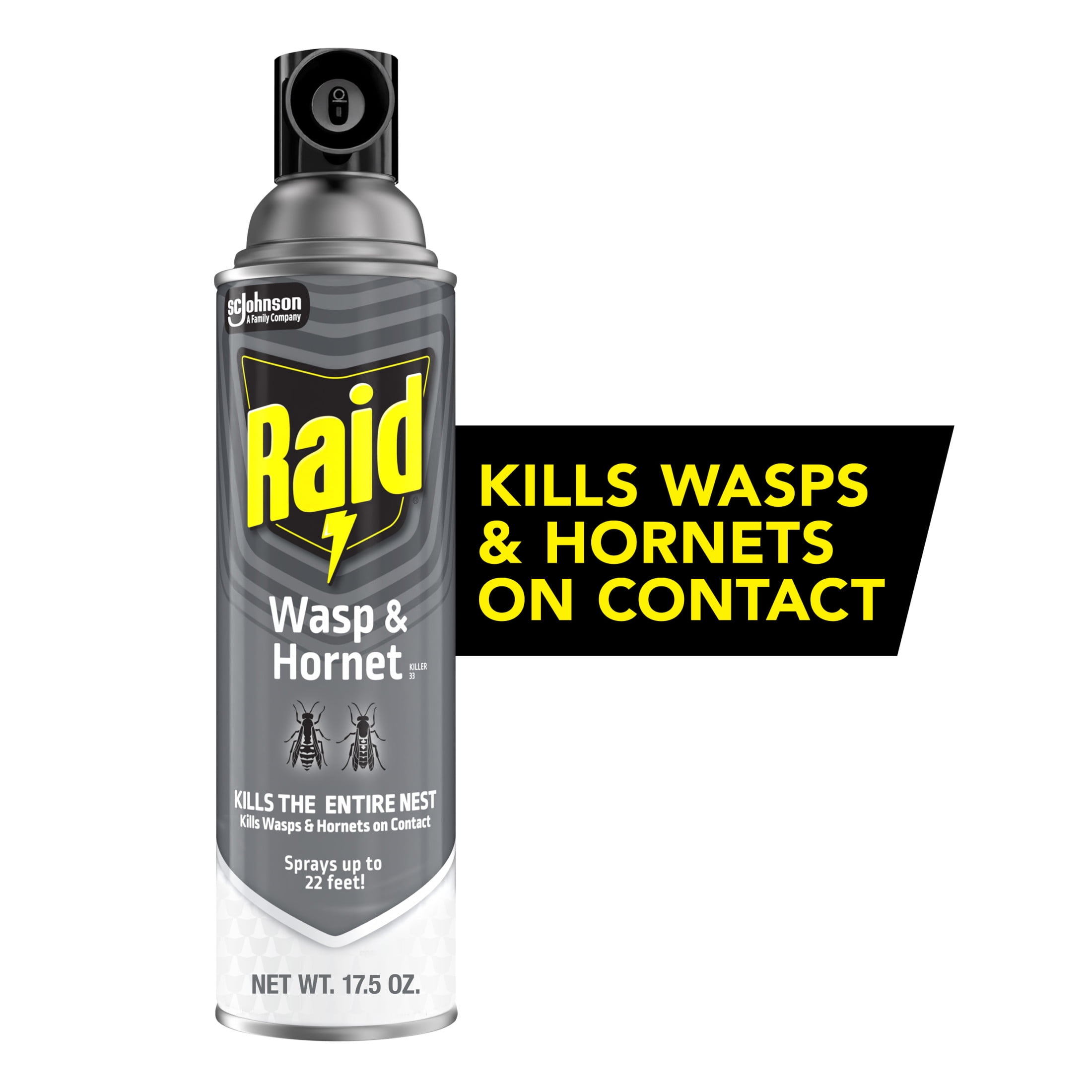 Raid Wasp & Hornet Killer, Outdoor Flying Inse Count Spray, 17.5 oz