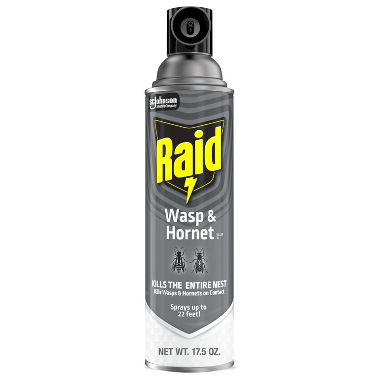 Raid Spray Wasp and Hornet Killer 17.5 oz
