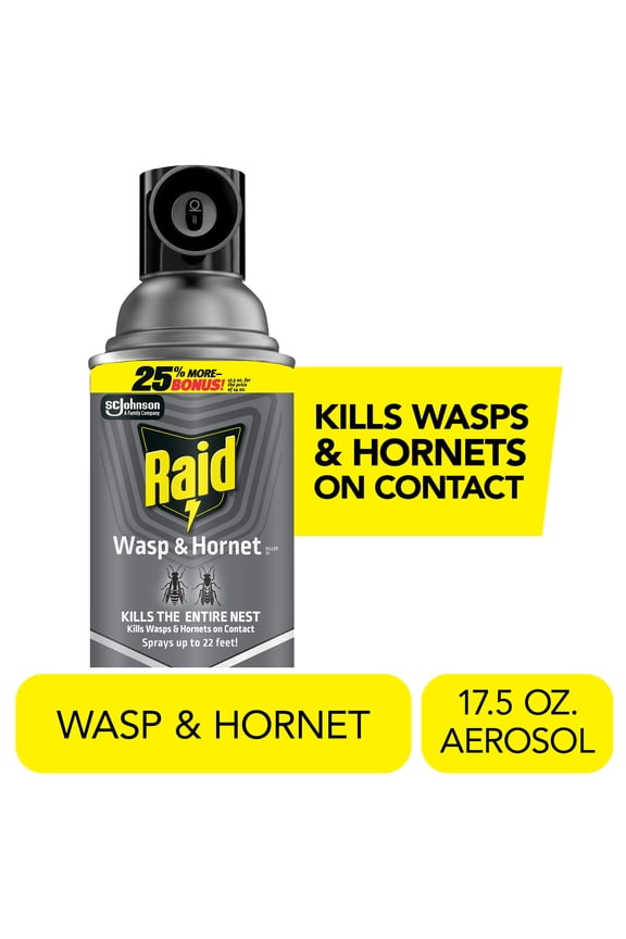 Wasp & Hornet Killer, Outdoor Flying Insect Spray, 17.5 oz