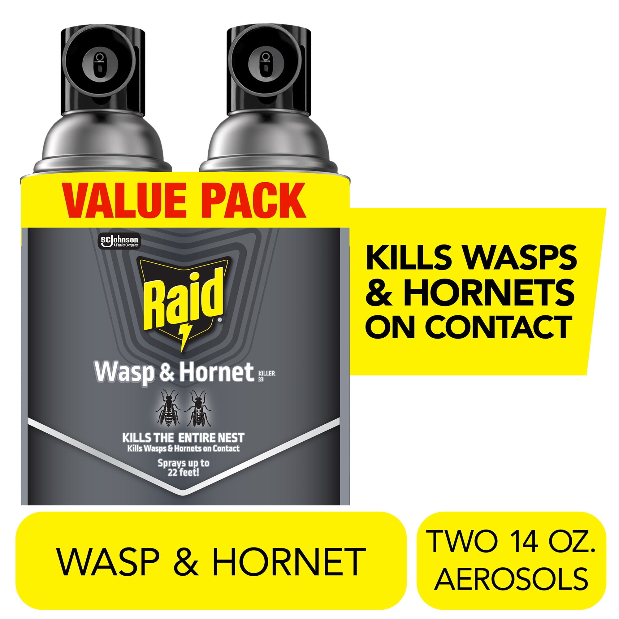 Raid Killer 33 Outdoor Wasp and Hornet Insecticide, Long Distance Spray ...
