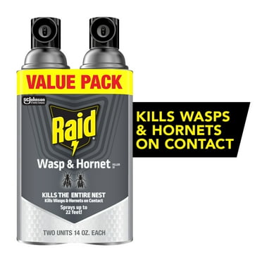 Raid Killer 33 Outdoor Wasp and Hornet Inse Counticide Value Pack, 14 oz, 2 Count