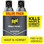 Raid Killer 33 Outdoor Wasp and Hornet Insecticide Value Pack, 14 oz, 2 Count