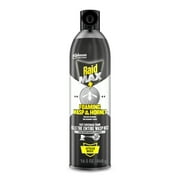 Raid Max Foaming Wasp & Hornet Killer, Fast Coverage Foam Insecticide for Wasps & Hornets, 16.5 Oz