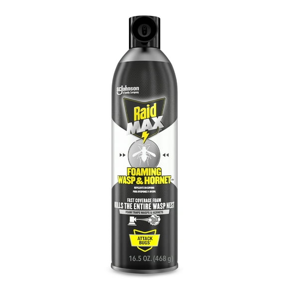 Raid Max Foaming Wasp & Hornet Killer, Fast Coverage Foam Insecticide for Wasps & Hornets, 16.5 Oz