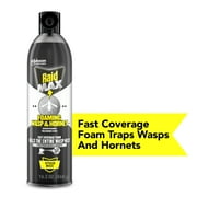 Raid Max Foaming Wasp & Hornet Killer, Fast Coverage Foam, 16.5 oz