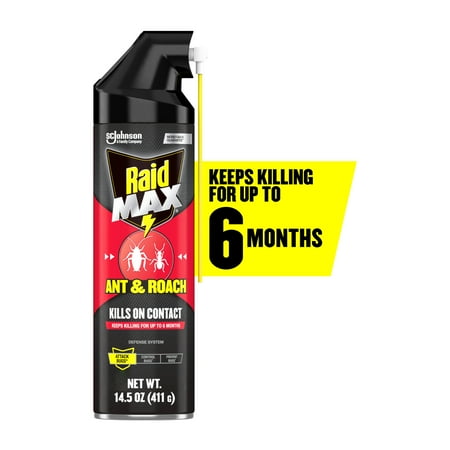 Raid Max Indoor Ant and Roach Insecticide, Insect Killer, 14.5 oz