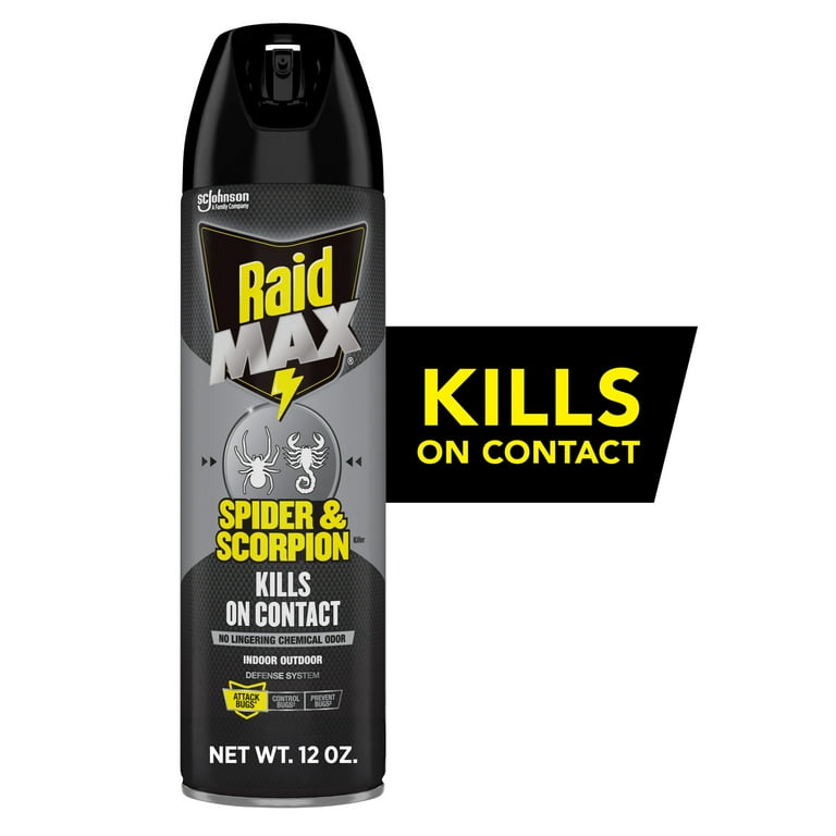 My House Smells Like Raid: Quick Fix Solutions