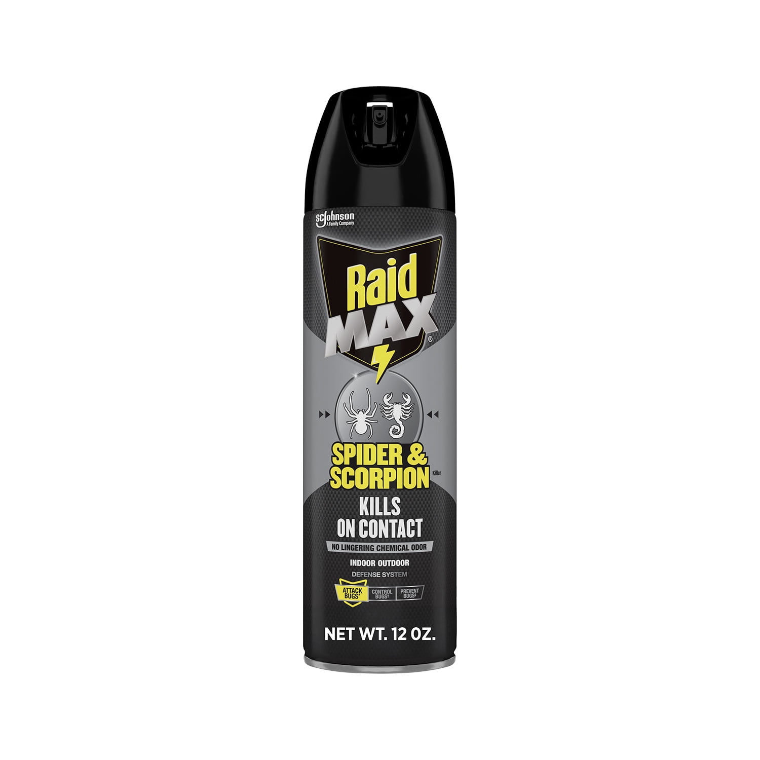 Raid Max Indoor & Outdoor Spider & Scorpion Killer Bug Spray, 12 oz