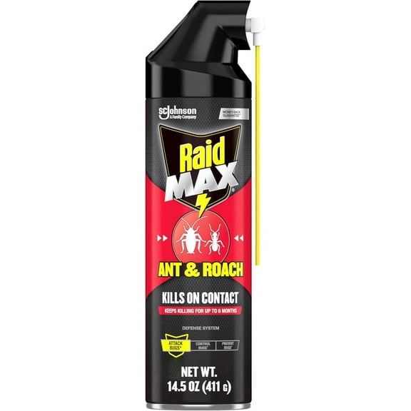 Raid Max Roach Insect Killer Aerosol Spray On Bugs - 14.5 Oz, 2 Pack