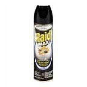 Raid Max Spider & Scorpion Killer 12 oz