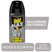 Raid Max Spider & Scorpion Killer, Indoor & Outdoor 12 Week Bug Control Spray, 12 oz