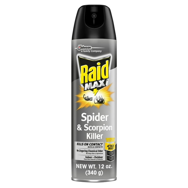 Raid Max Spider & Scorpion Killer, Indoor & Outdoor Anti Spider Spray, 12 oz