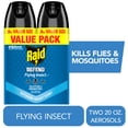 thumbnail image 1 of Raid Outdoor Defense Flying Insect Killer Bug Spray Value Size, 20 oz, 1 of 14