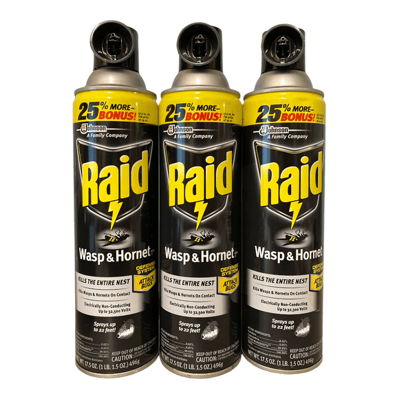 Raid - Raid Wasp and Hornet Spray- 3 Pack
