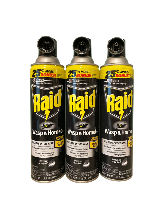 - Raid Wasp and Hornet Spray- 3 Pack
