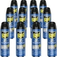 thumbnail image 1 of Raid, SJN617717CT, Flying Insect Killer, 12 / Carton, Off White, 1 of 2