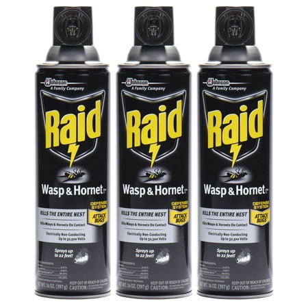 Raid Wasp & Hornet Insect Killer 33, 14 oz, 3 Count